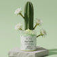 Baja Cactus Whipped Body Soap – UAE