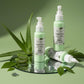 Palm Tree Body Lotion UAE – Buy Online for Tropical Hydration