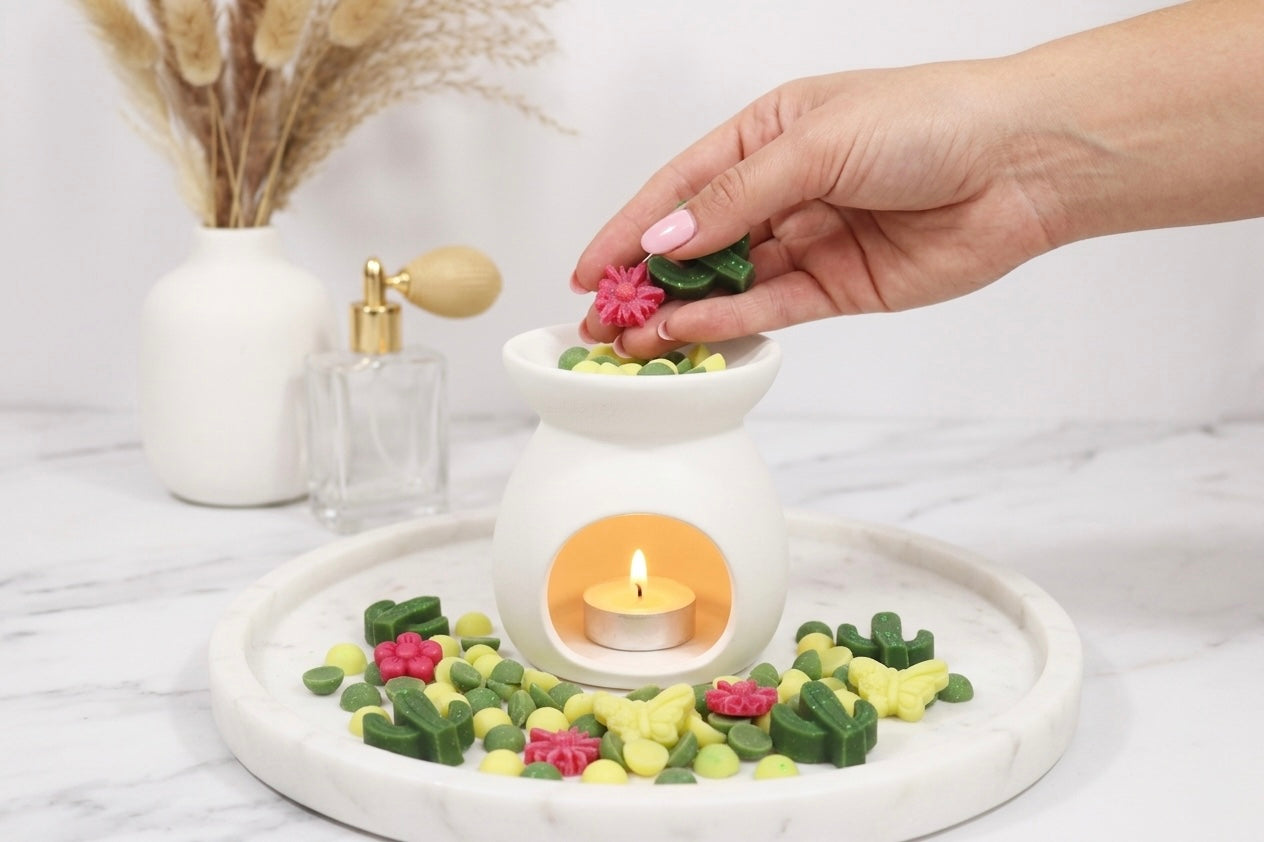🌵Baja Cactus Wax Melt – Fresh &amp; Clean Desert Breeze (UAE)