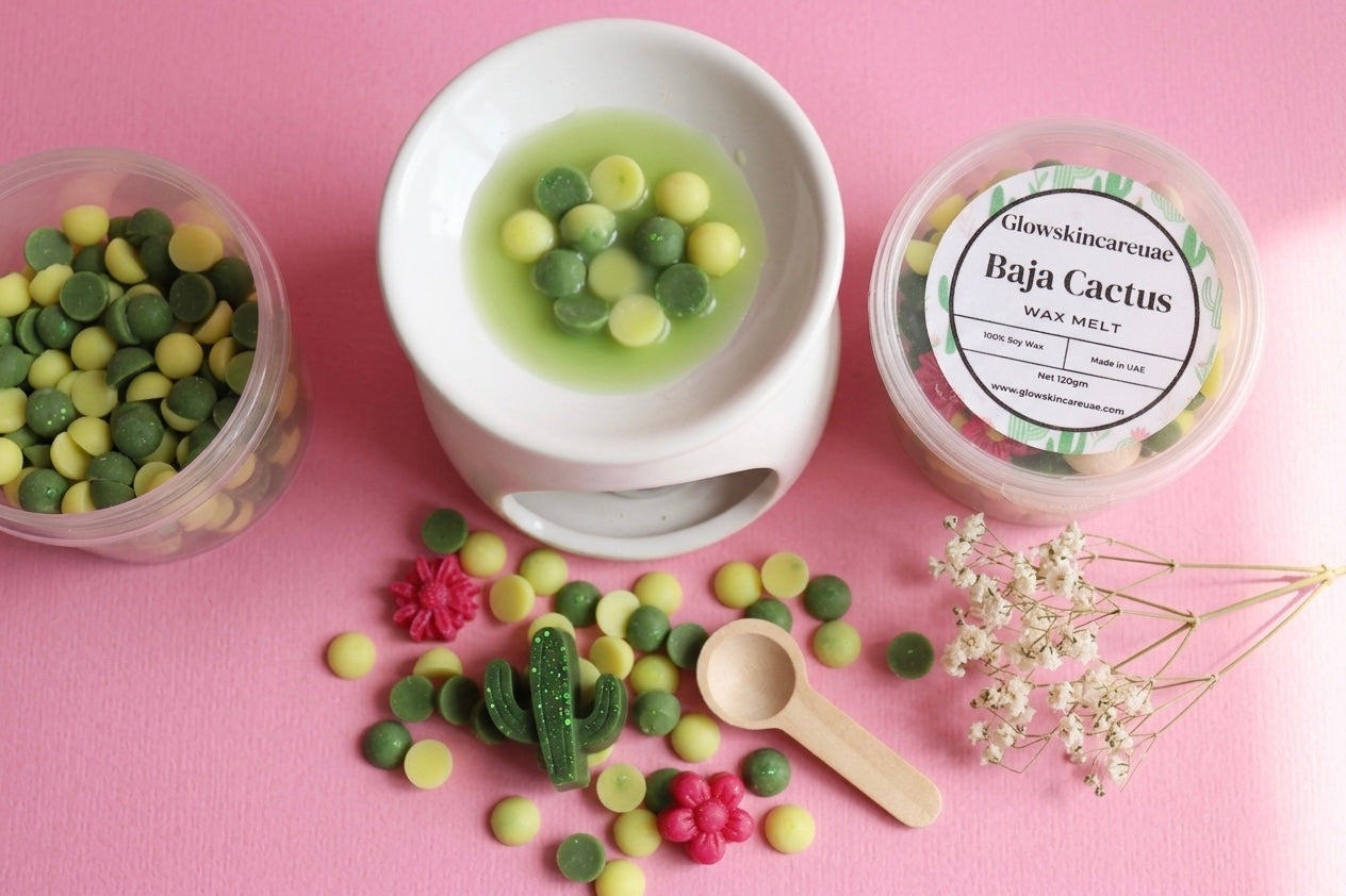🌵Baja Cactus Wax Melt – Fresh &amp; Clean Desert Breeze (UAE)