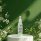 Palm Tree Body Lotion UAE – Buy Online for Tropical Hydration