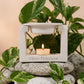 Casting Powder Wax Melt Burner UAE | Handmade Tealight Burner Dubai