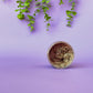 COFFEE MOCHA FOAMING BODY SCRUB
